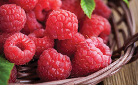 Raspberry Fruit Plants