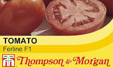 Tomato 'Ferline' from Thompson & Morgan
