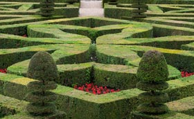 Formal & Topiary Hedging