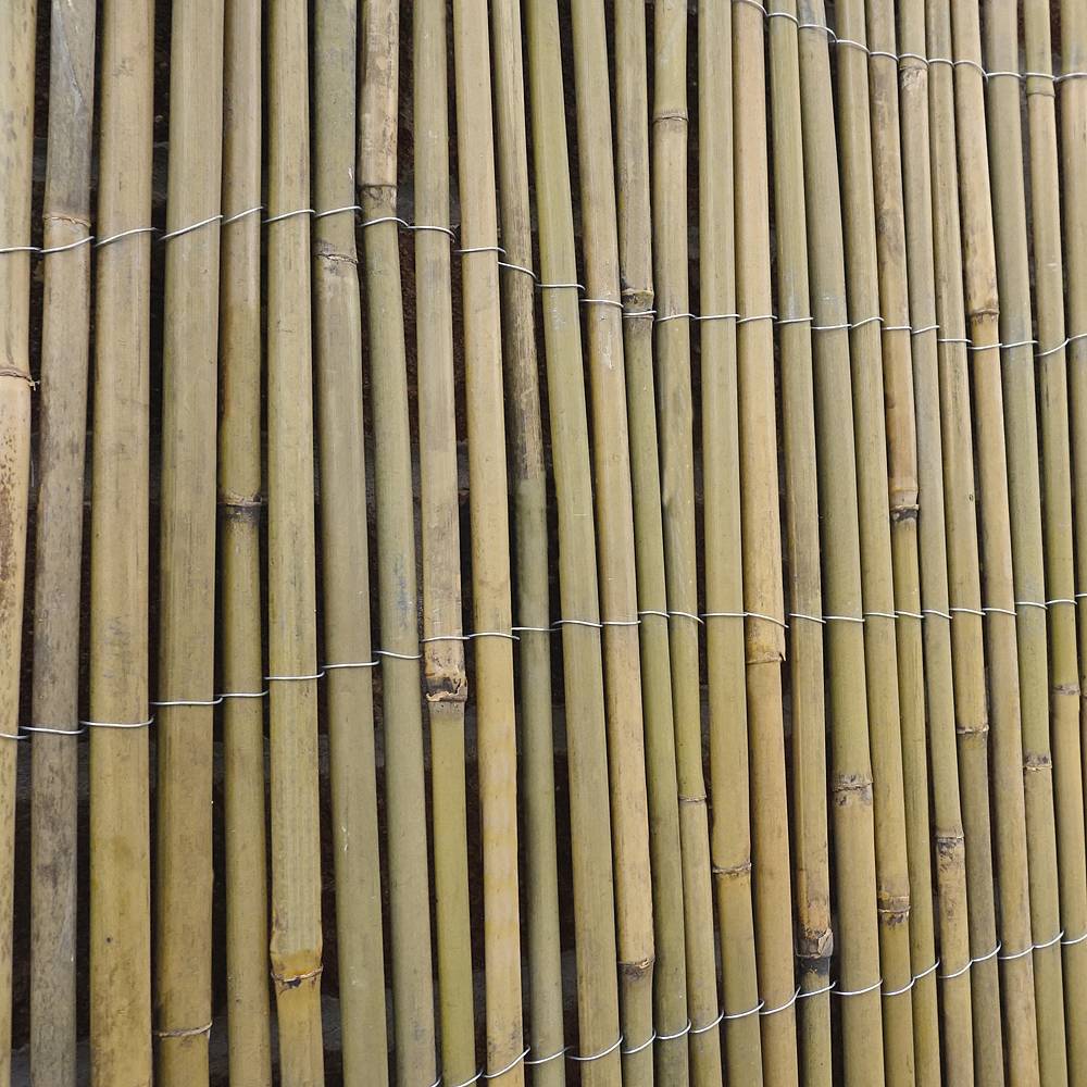 Bamboo Cane Screening