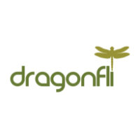 DragonFli logo