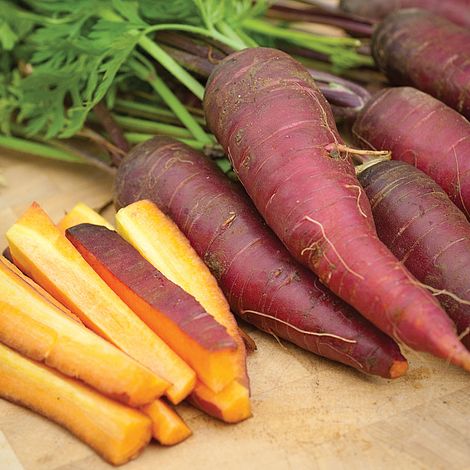 Carrot 'Cosmic Purple' - Seeds