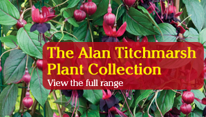 The Alan Titchmarsh Plant Collection
