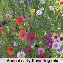 annual mix