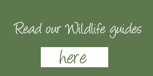 wildlife guides