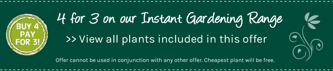 Instant Gardening Range - get 4 plants for the price of 3 - view entire range now