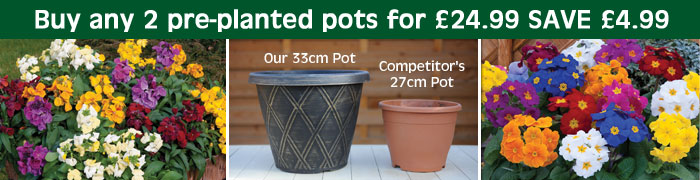 Buy any 2 pre-planted packs for only £24.99