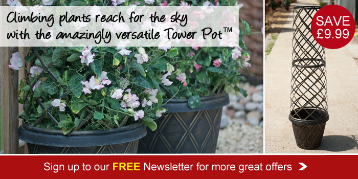 Tower Pot - 1 pack just £19.99. Don't miss out on more great offers, sign up to our FREE email newsletter today.