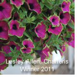 2012 Photo Competition - Baskets and hanging containers of any Thompson & Morgan product