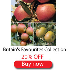 Britains Favourites Collection - SAVE 20%