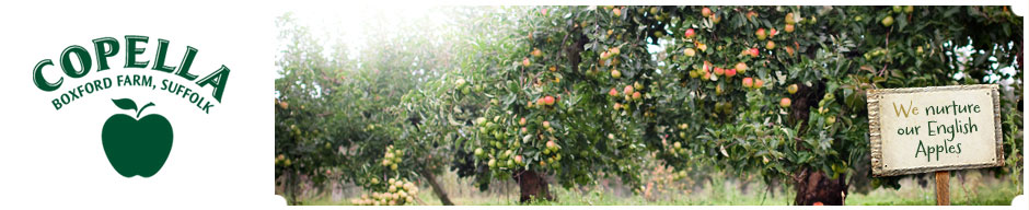 Help save the English Apple in your own garden with Copella and Thompson & Morgan &ndash; receive 20% today! 