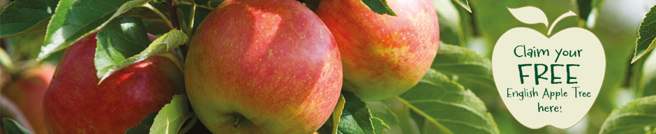 Thompson & Morgan in association with Copella - Claim your free English Apple Tree