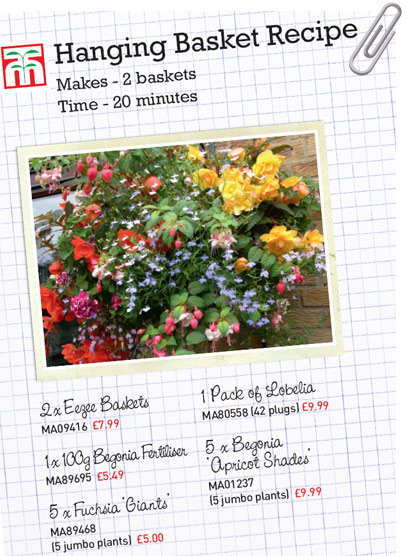 Begonia Basket Recipe