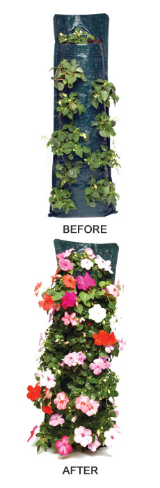 How to get the best from  your flower pouches - Before and After