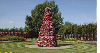 Open Weekend Flower Tower