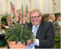 Foxglove 'Illumination Pink' - 25,000 plants sold in 1 week!