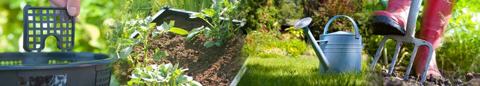 How To Gardening Guides - General