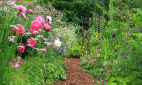 How To Plant a Hardy Perennial Border