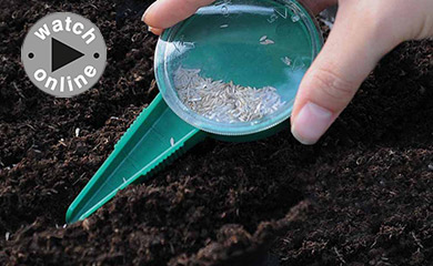 How to Sow Small Seeds