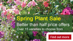 Spring Plant Sale