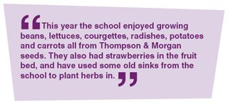 This year the school enjoyed growing beans, lettuces, courgettes, radishes, potatoes and carrots all from Thompson & Morgan seeds. They also had strawberries in the fruit bed, and have used some old sinks from the school to plant herbs in.