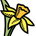 flower garden daffodil