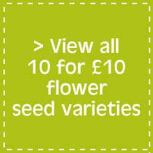 View all 10 for £10 flower seed varieties