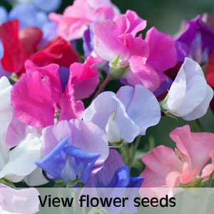 View flower seeds