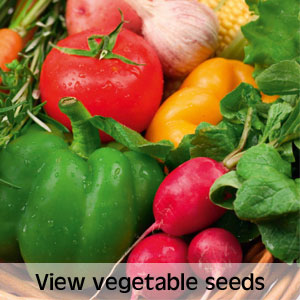 View vegetable seeds