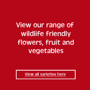 view our full range of wildlife friendly flowers