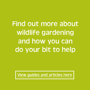 wildlife gardening guides and articles