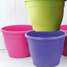 Coloured Pots