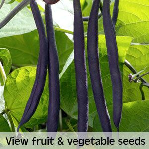 View fruit and vegetable seeds