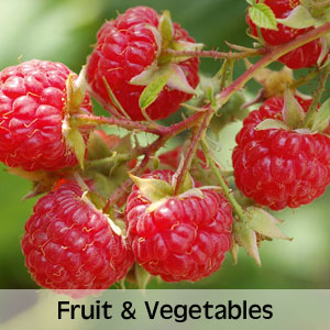 Up to 50% OFF Fruit & Vegetables