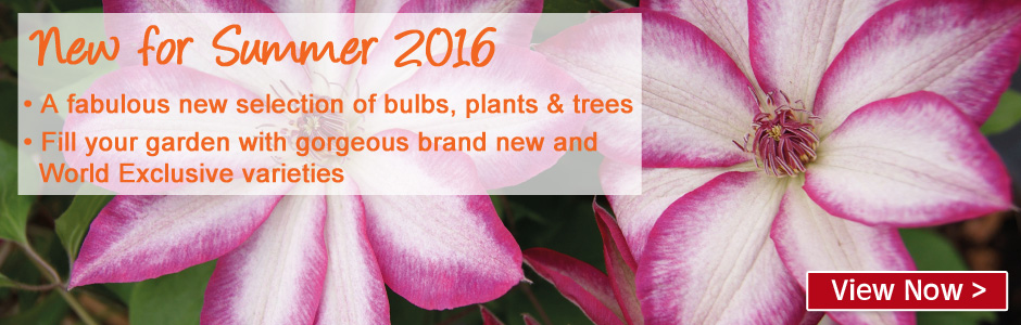 New range of plants for summer and autumn 2016