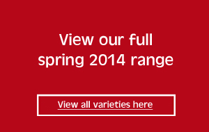 view our full spring 2015 range