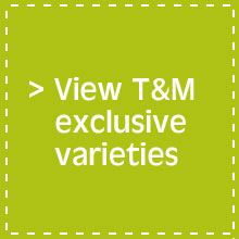 View T&M exclusive varieties