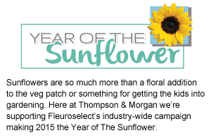 year of the sunflower