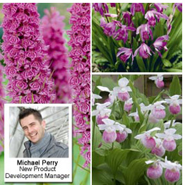 New this season - Hardy Orchid Collection - Recommended by Michael Perry, New Product Development Manager