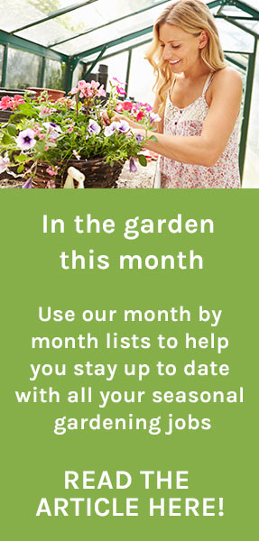 In your garden this month