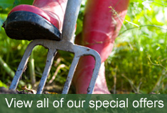 View our special offers