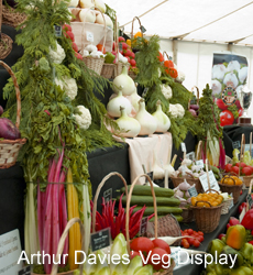 Arthur Davies' Vegetable Display