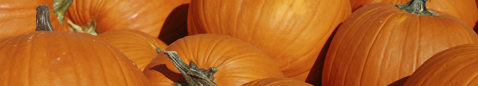 Small pumpkins? Read on for some inspiration!