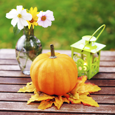 Create the perfect autumnal table decoration