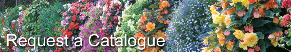 Request a Thompson & Morgan Plant and Seed Catalogue