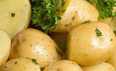 Potato âArran Pilotâ from Thompson & Morgan