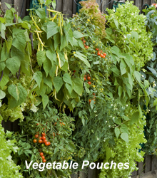 Vertical Vegetables