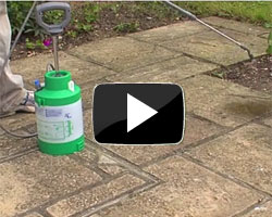 How to Clean Your Patio Organically Video