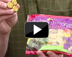 How to Use Slow Release Fertiliser Video