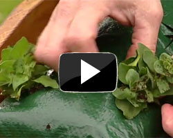 How to Plant Up a Flower Pouch&reg; Video